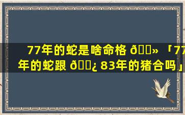 77年的蛇是啥命格 🌻 「77年的蛇跟 🌿 83年的猪合吗」